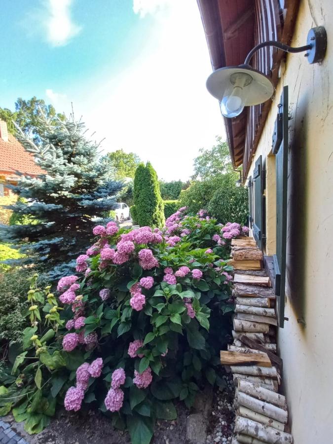 Suite avec Terrasse 