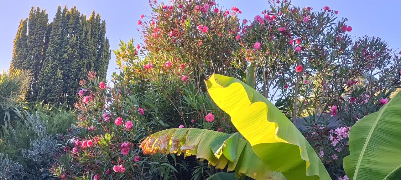 Maison Cocooning, bord de Sèvre Nantaise - B&B Nantes
