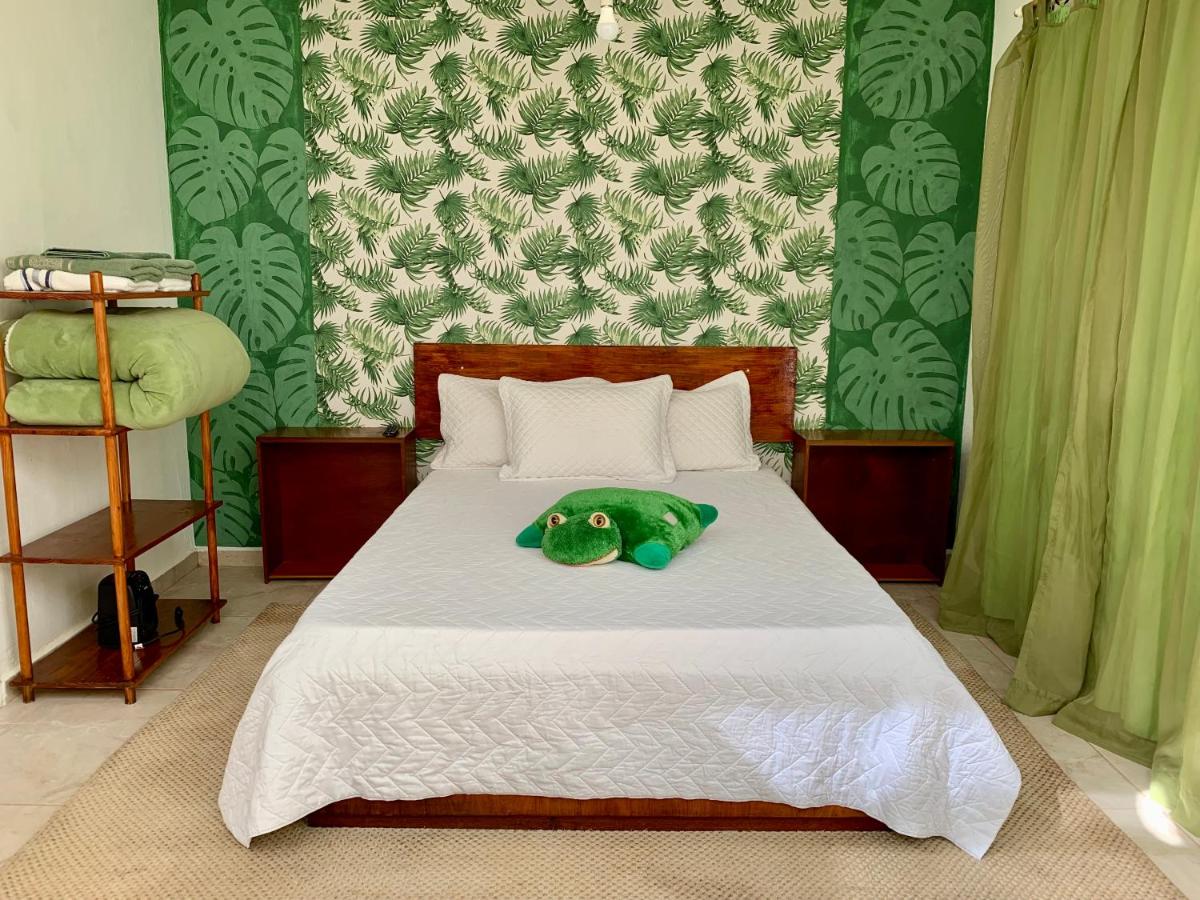 Suite Standard