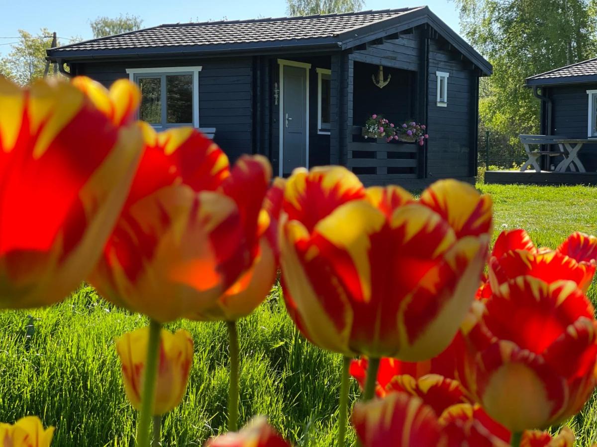 Ragaciema Skadiņi - B&B