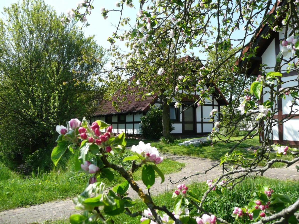 B&B Bachenbrock - Ferienhaus Deichgraf 86 im Feriend - Bed and Breakfast Bachenbrock