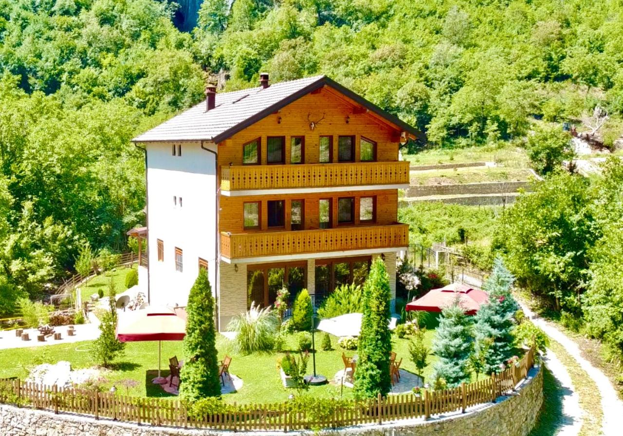 Vila Alexander B&B - B&B