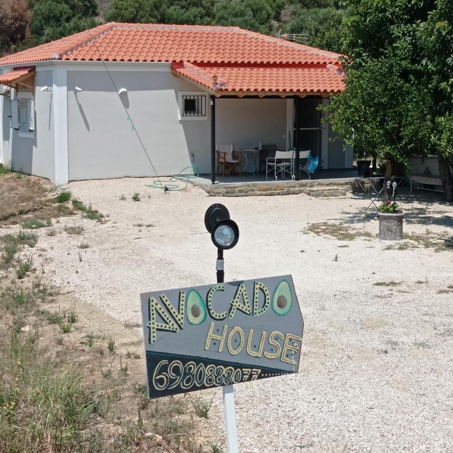 Avocado house - Ferienwohnung