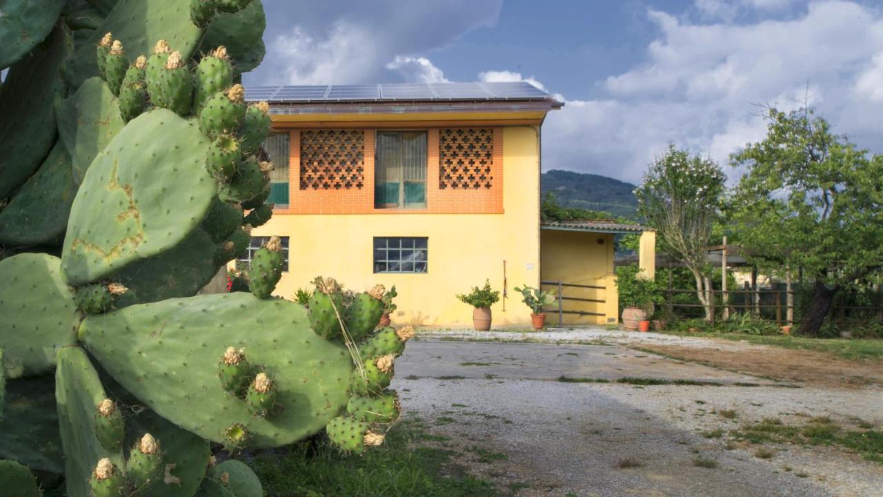 Il Chicco d'Oro - Chambres d’hôtes Massarosa