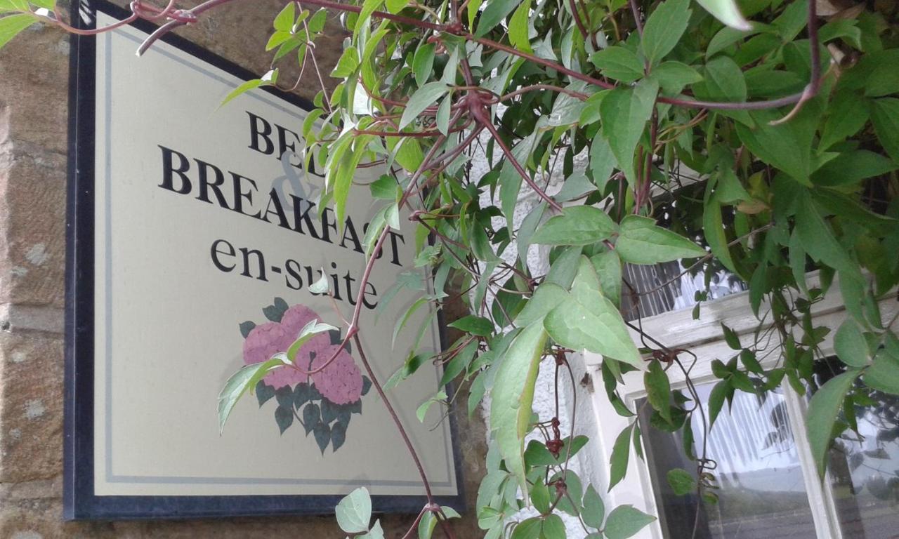 Thorpe Green House Vegetarian Bed & Breakfast - B&B