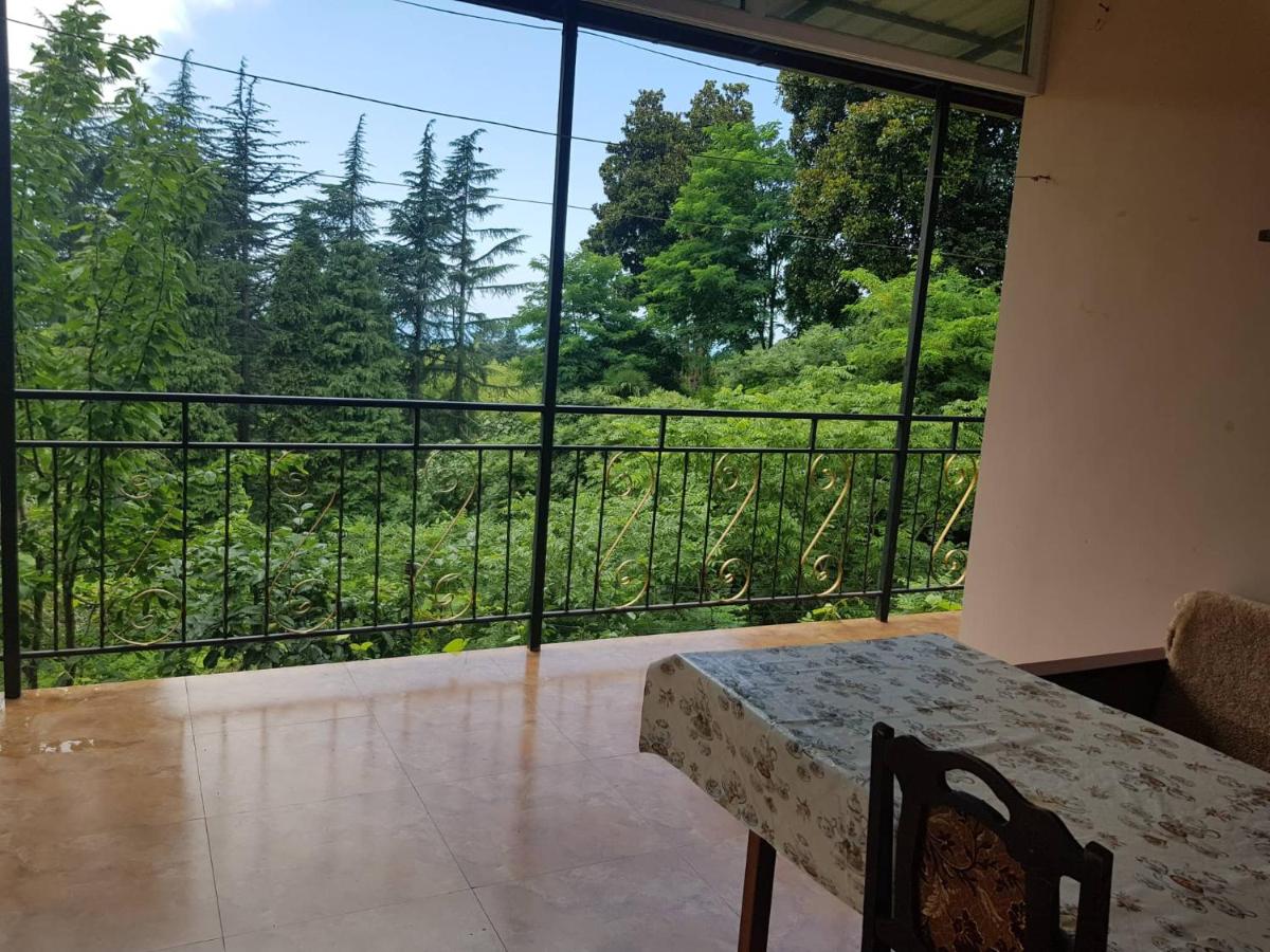 Green Paradise - Ferienwohnung Batumi