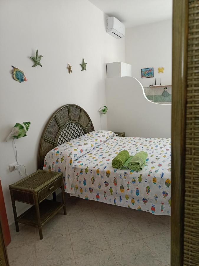 B&B Ponza - Il monolocale verde conchiglie e fiori - Bed and Breakfast Ponza