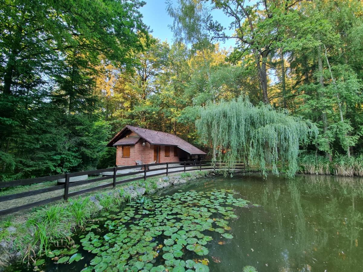 B&B Šmarje pri Jelšah - Cottage by the pond Pavel - Bed and Breakfast Šmarje pri Jelšah