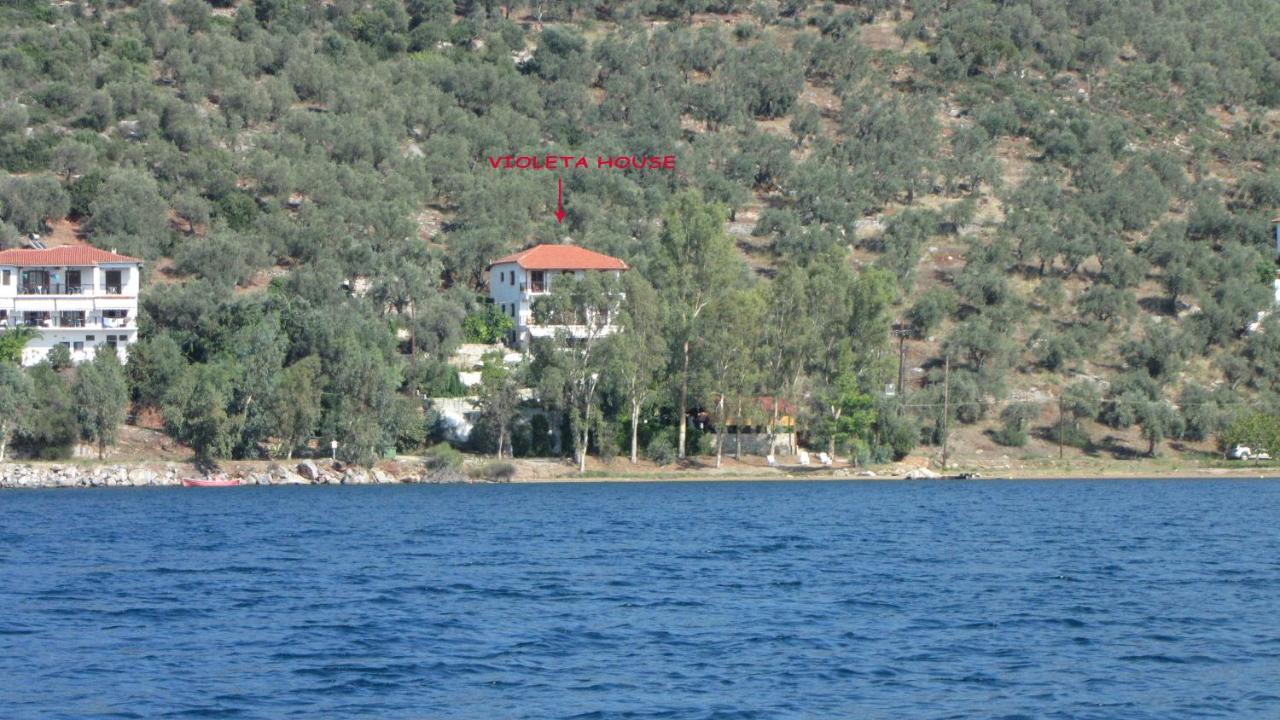 Violetta Studios & Apartments - Ferienwohnung Milína