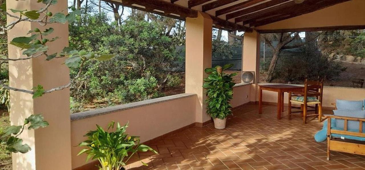 Chambre Double avec Patio