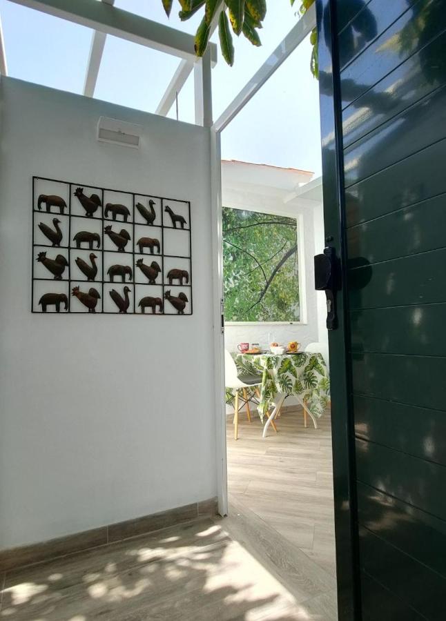 Casa Maga - B&B