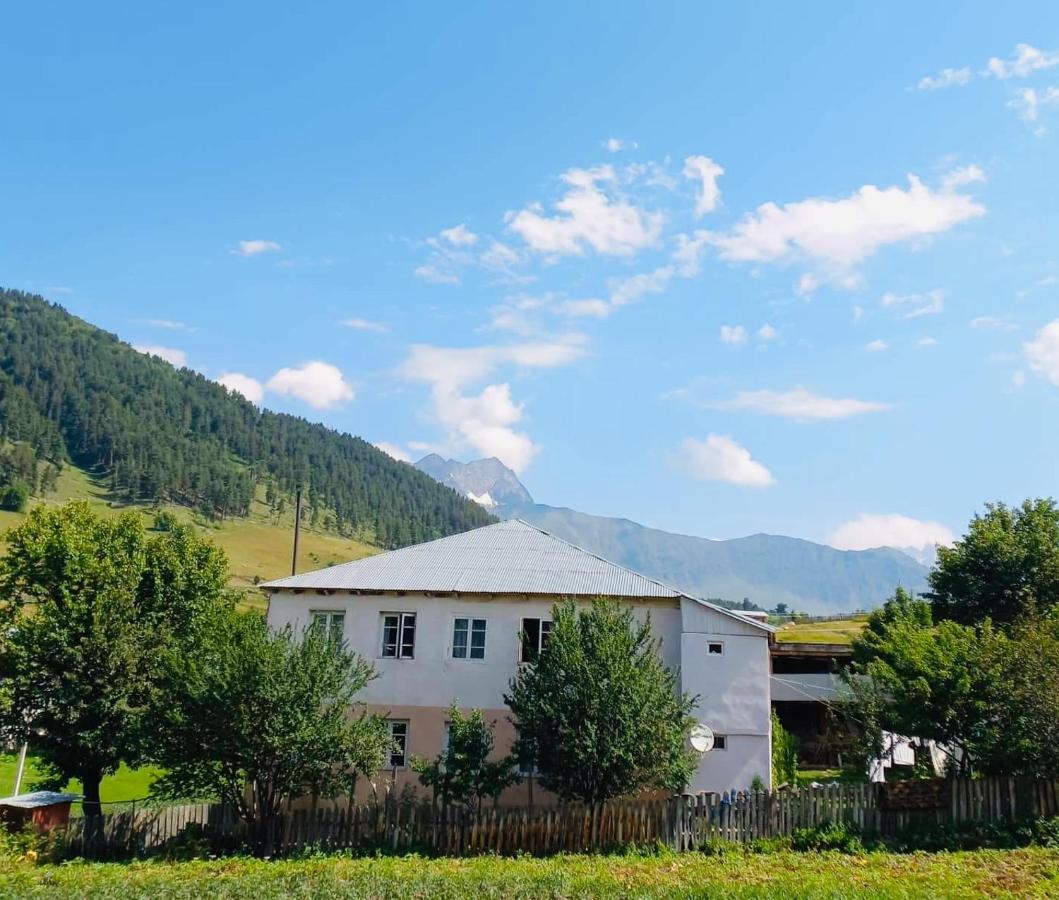 Guesthouse LALI GULEDANI - B&B Tsvirmi