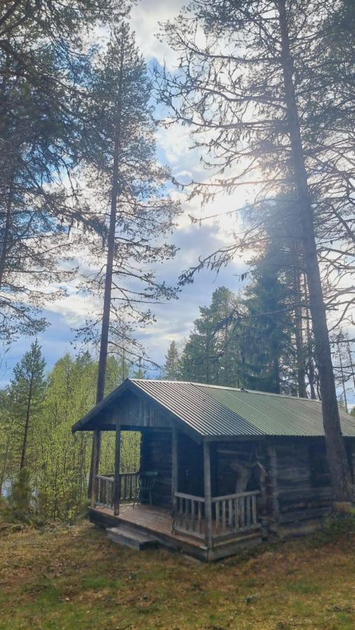 Blockhaus am See - B&B Arvidsjaur