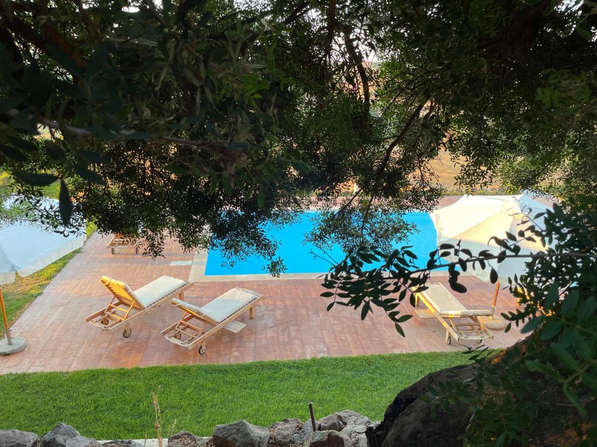 Villa Infinity - Bed and Breakfast