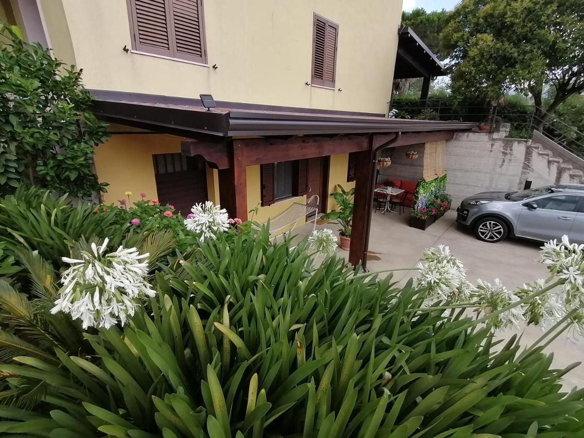 Apartment - B&B Materdomini