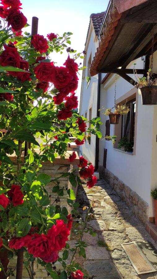 Penzion Chlumec - B&B Český Krumlov