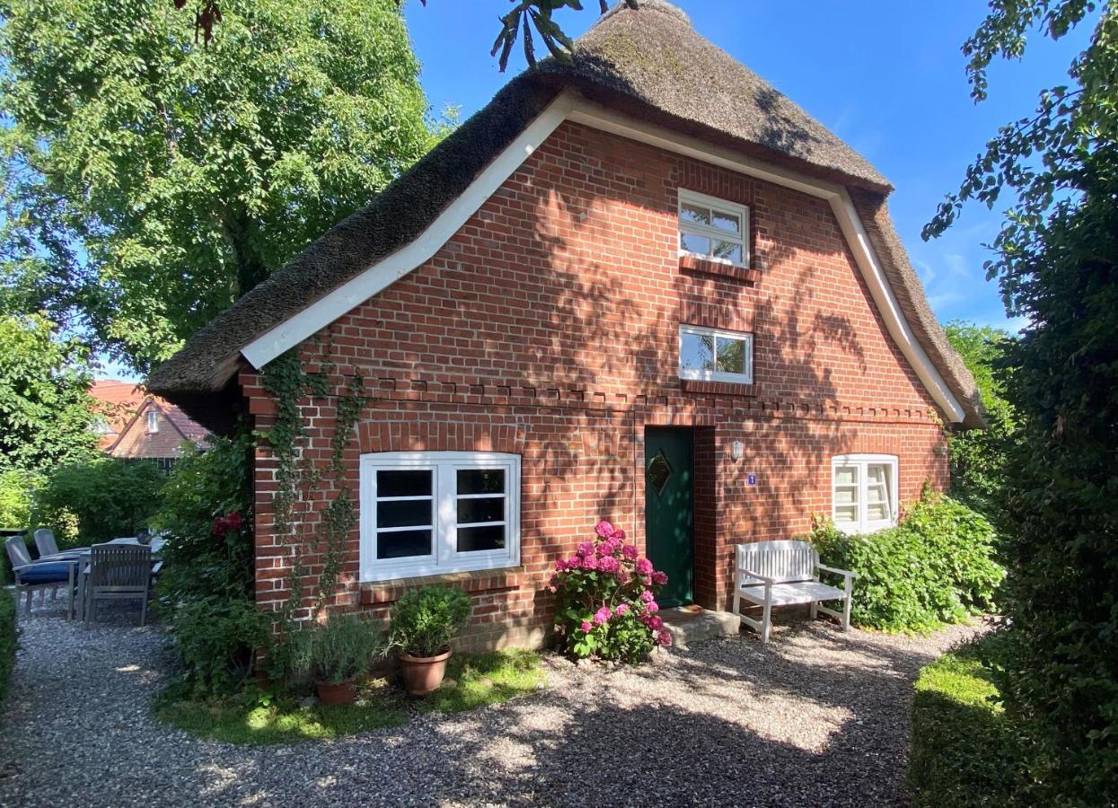 B&B Riepsdorf - 1100 - Designer-Reetdach-Kate - Bed and Breakfast Riepsdorf