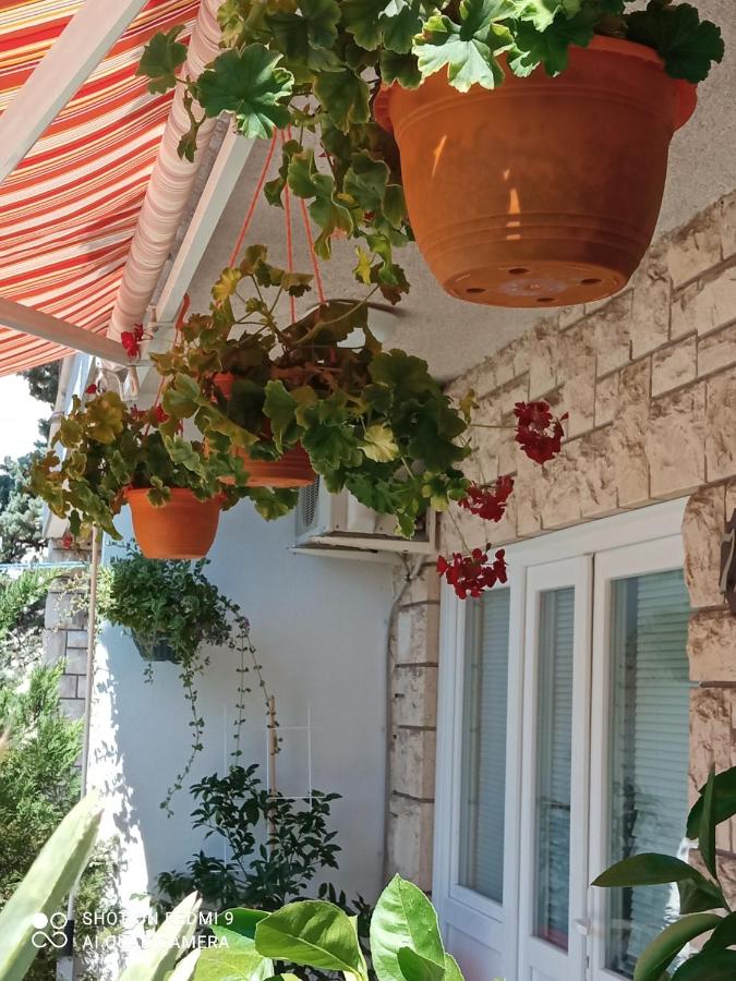Sunce - B&B