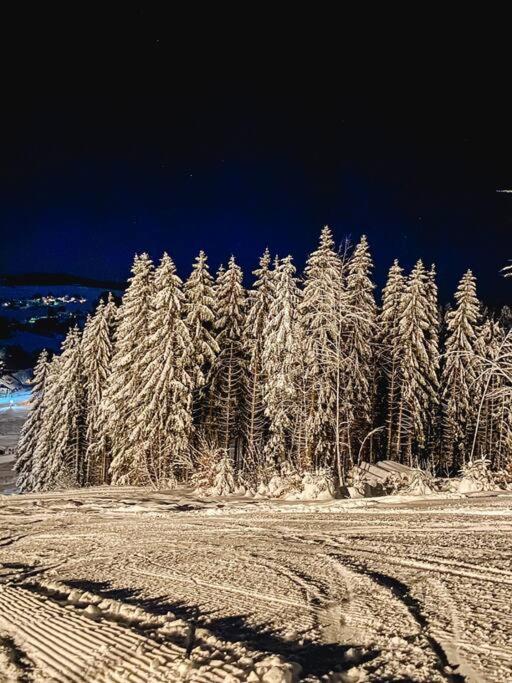 Appartement met 1 Slaapkamer