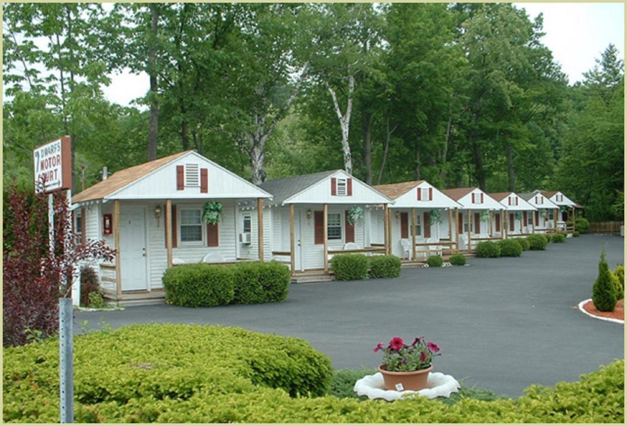 B&B Lake George - Seven Dwarfs Cabins - White Cabin - Bed and Breakfast Lake George