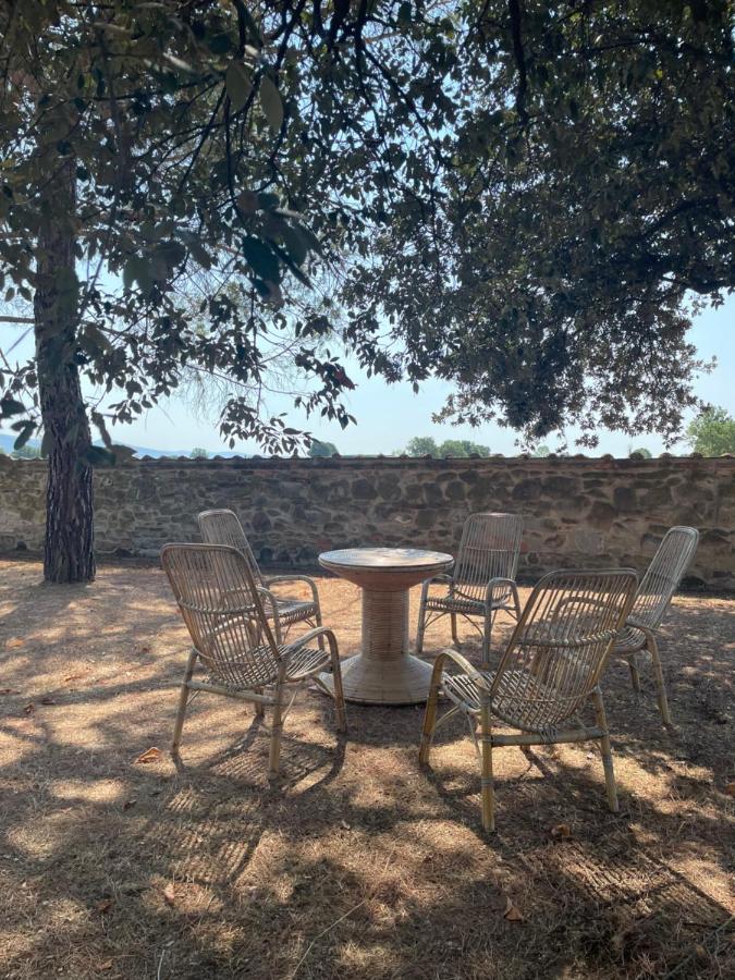 La selva - B&B Arezzo