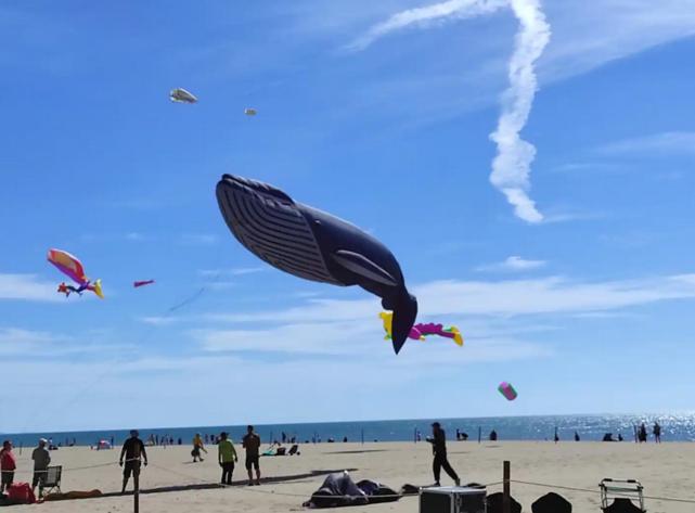 Appartement T2 en bord de mer - Les Capounades - B&B Narbonne-Plage