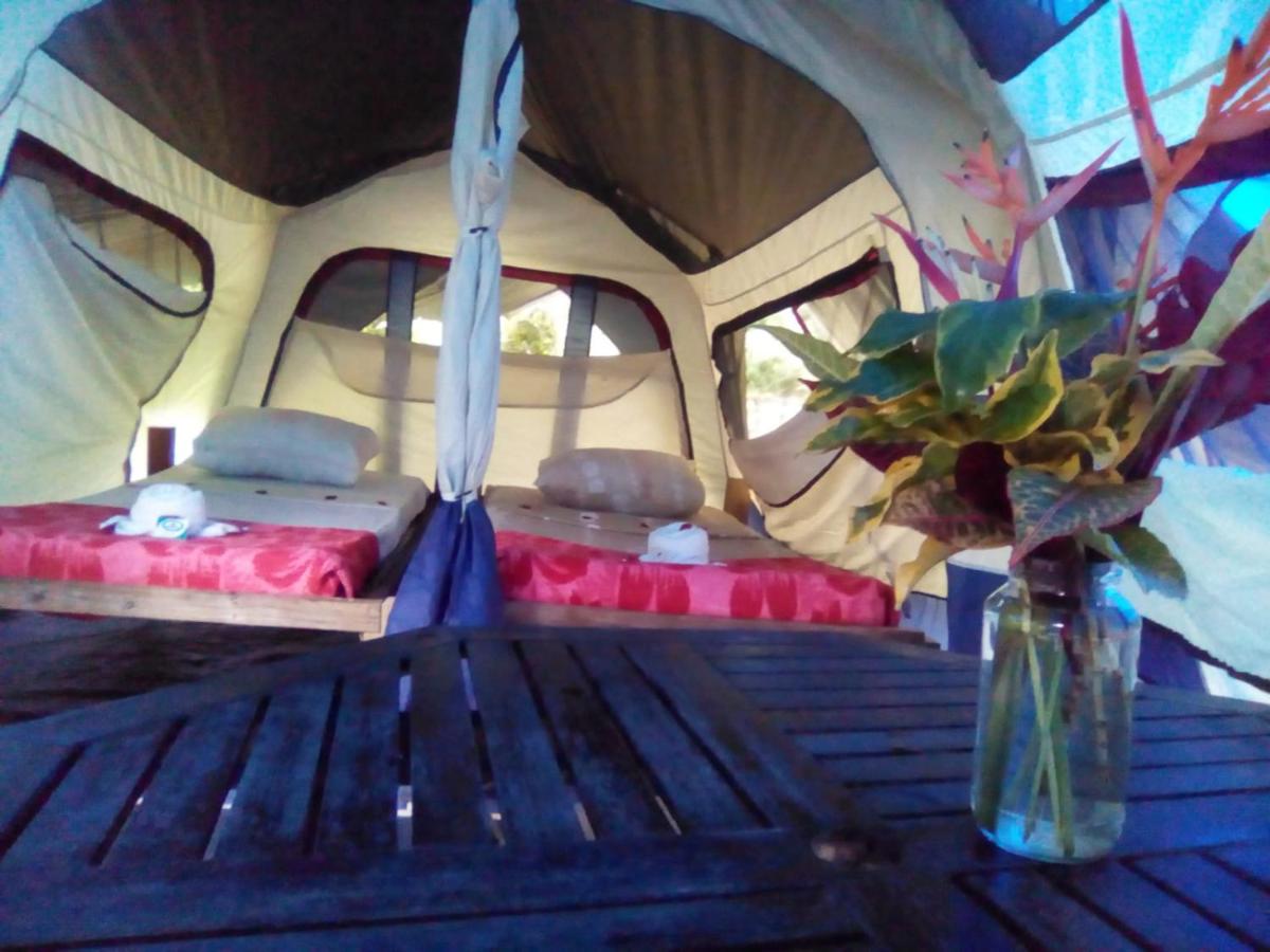 Tent