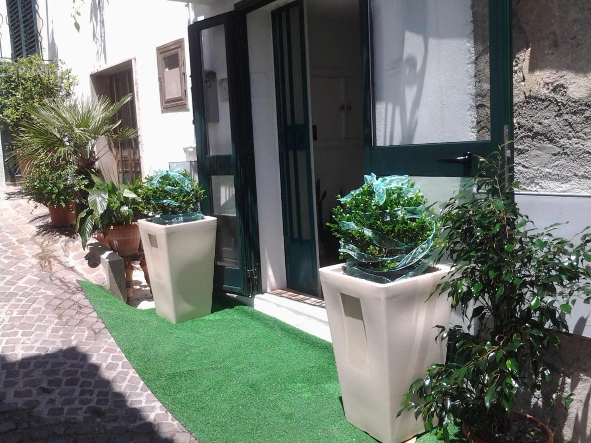 Nonna Ninna B&B - Ferienwohnung San Floro