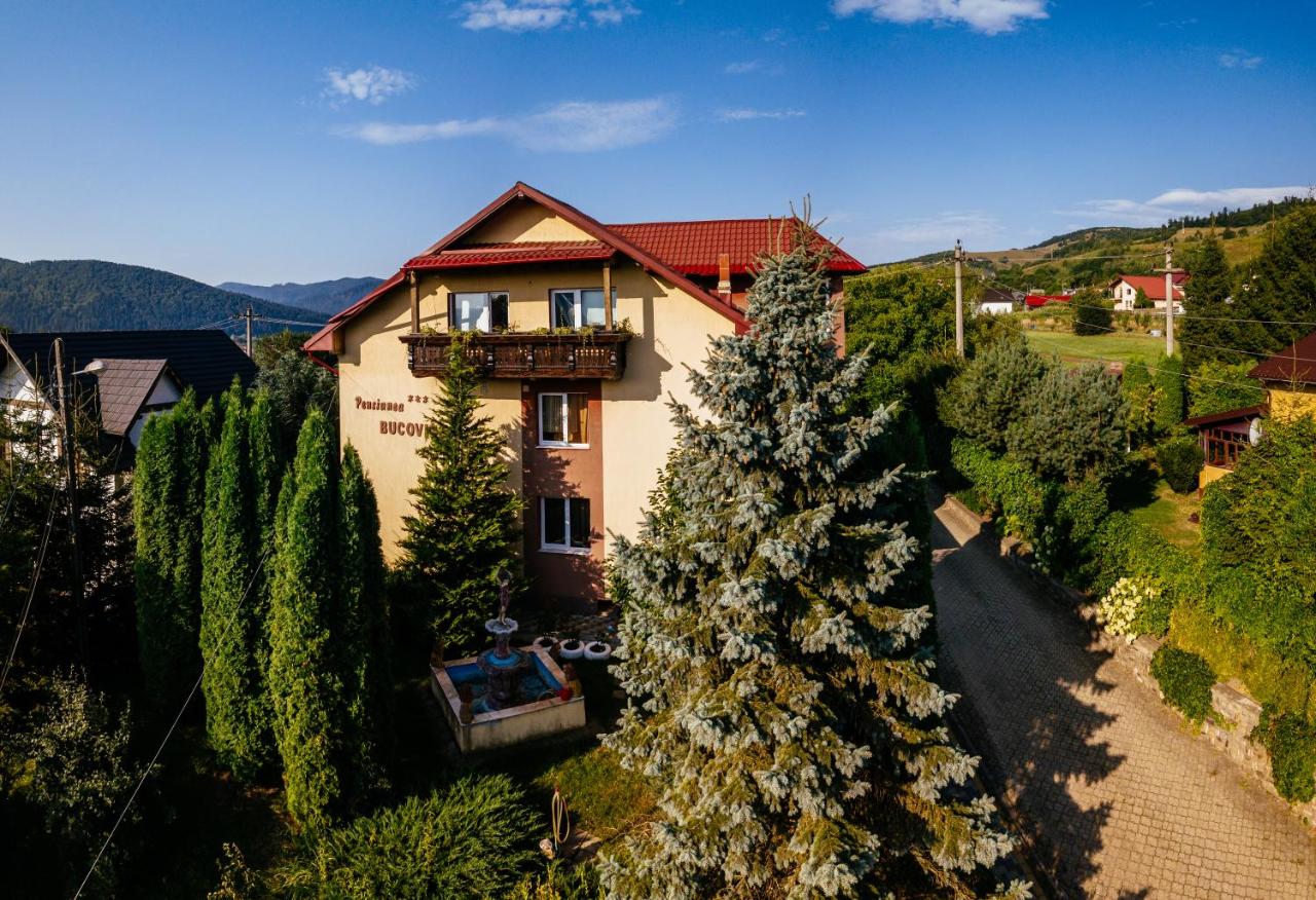 Pensiunea Bucovina - B&B Gura Humorului