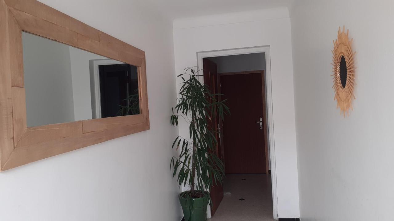 Bel appartement avec grande terrasse ensoleillée et jardin - Ferienwohnung