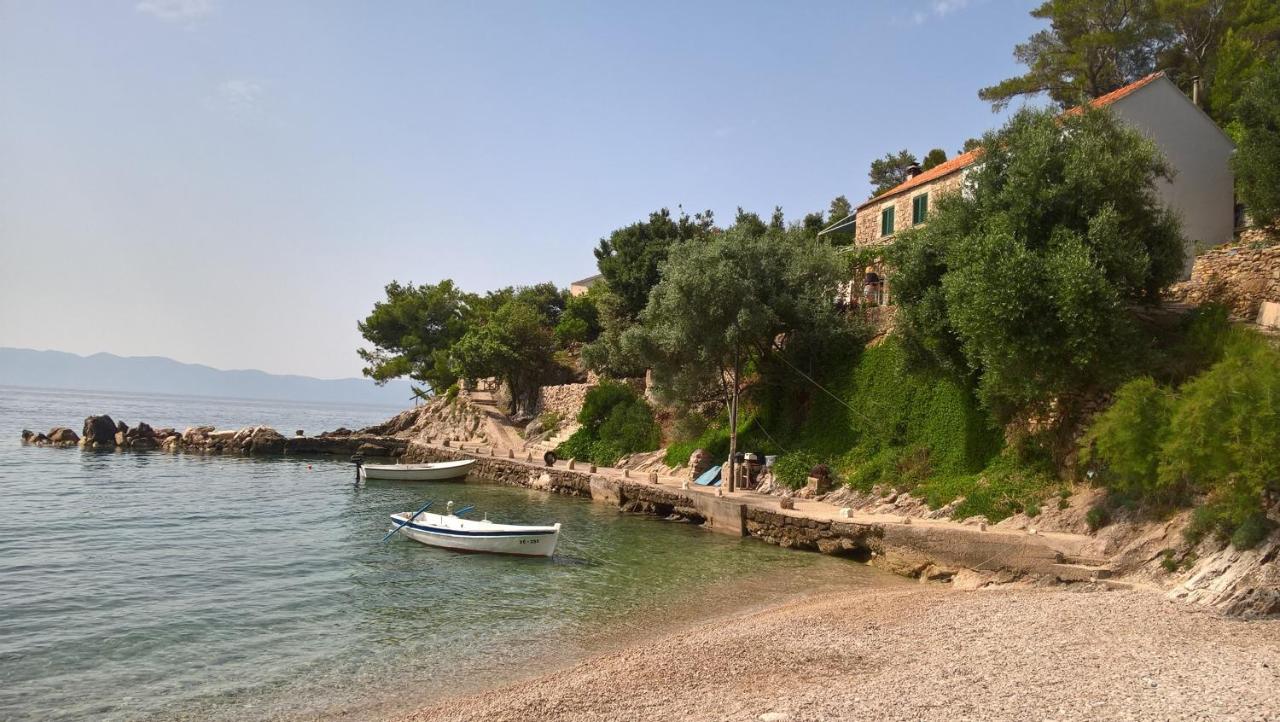 B&B Gdinj - Seaside secluded apartments Cove Torac, Hvar - 4875 - Bed and Breakfast Gdinj