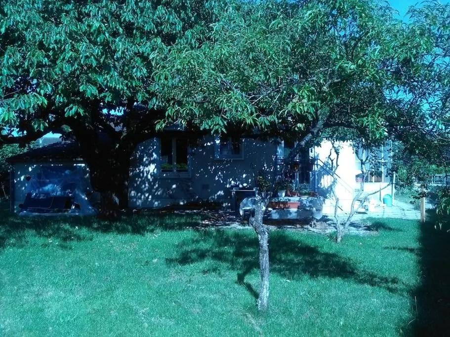 MAISON A 10MIN DU ZOO DE BEAUVAL - Chambres d’hôtes