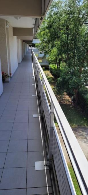 Superbe appartement Arcachon - B&B La Teste-de-Buch