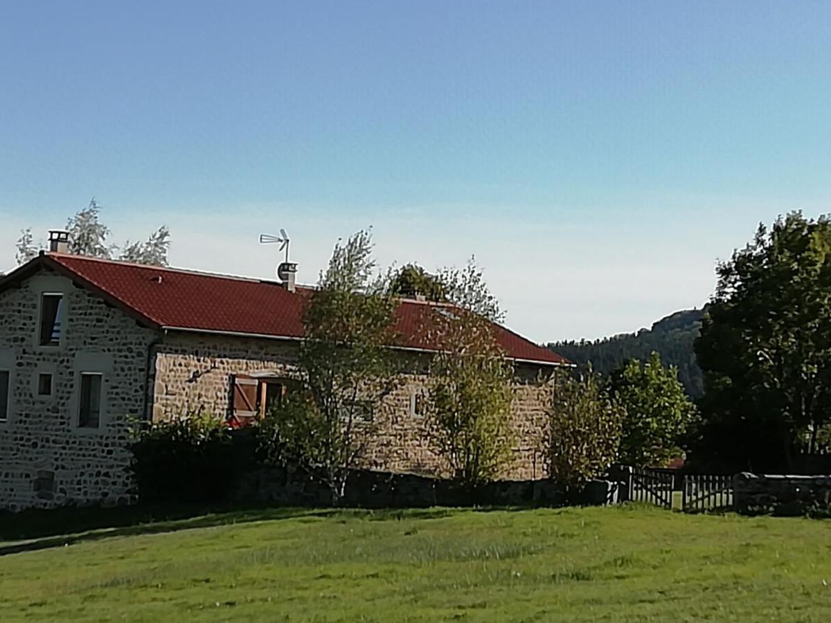 Gîte familial avec équipement bébé, terrasse et jardin clos à Roche-en-Régnier - FR-1-582-192 - B&B