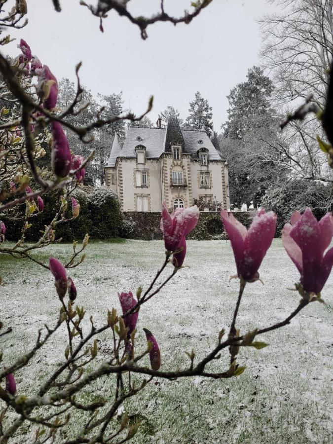 B&B Saint-Léonard-de-Noblat - Chateau Maleplane - Bed and Breakfast Saint-Léonard-de-Noblat