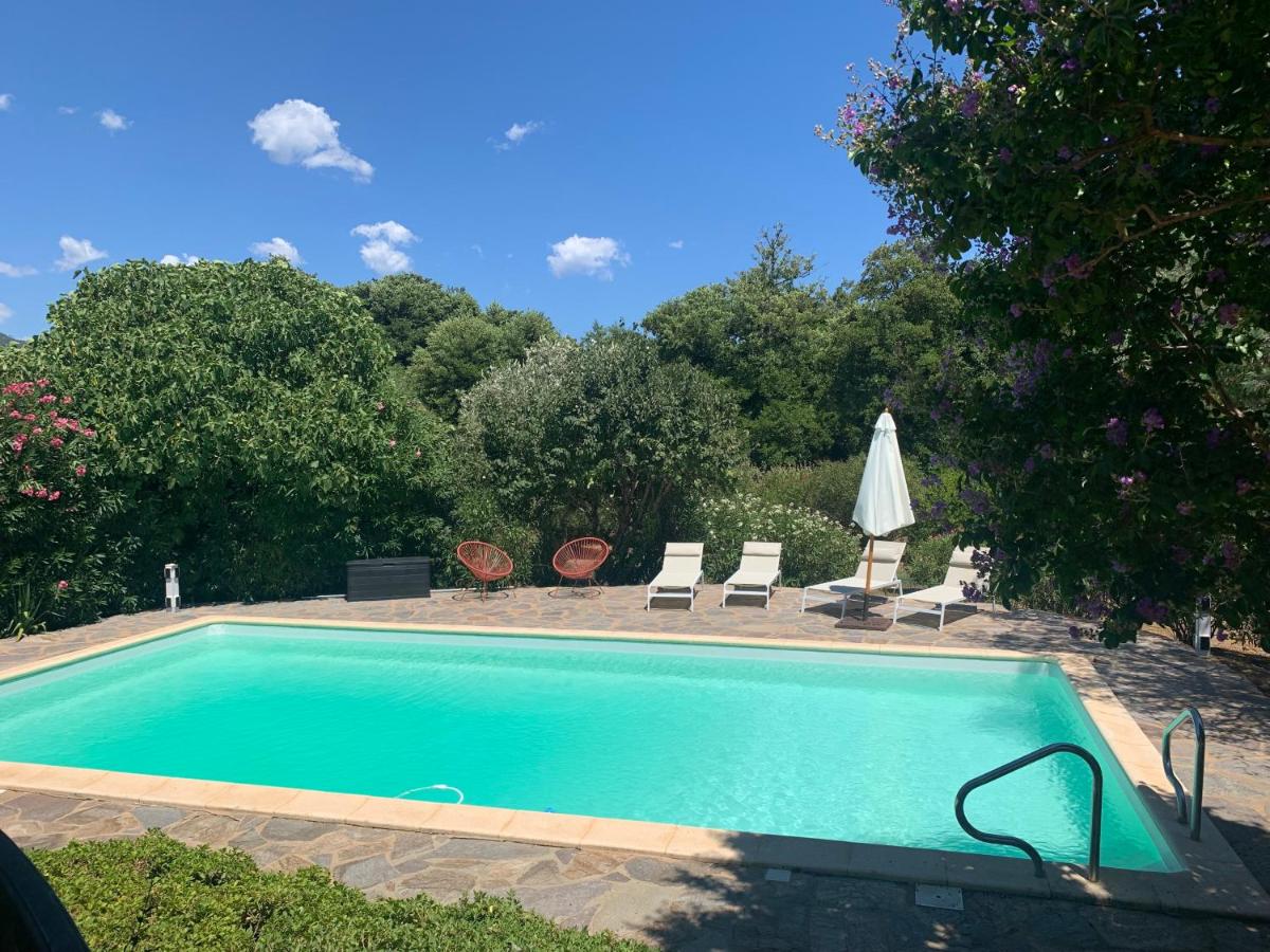 Villa privée dans un cadre verdoyant , piscine et grand jardin - B&B