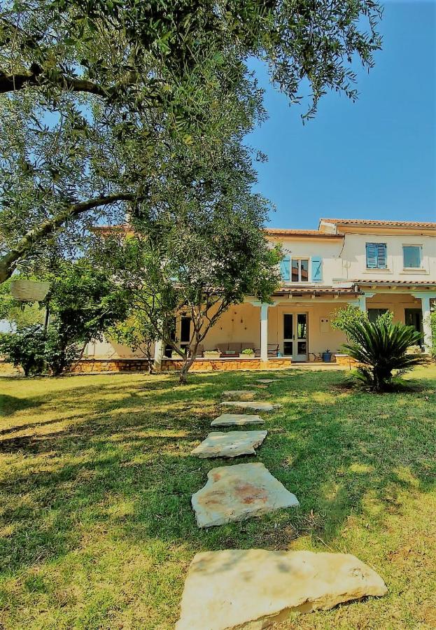 House Nono Bepo in small Istrian village - B&B