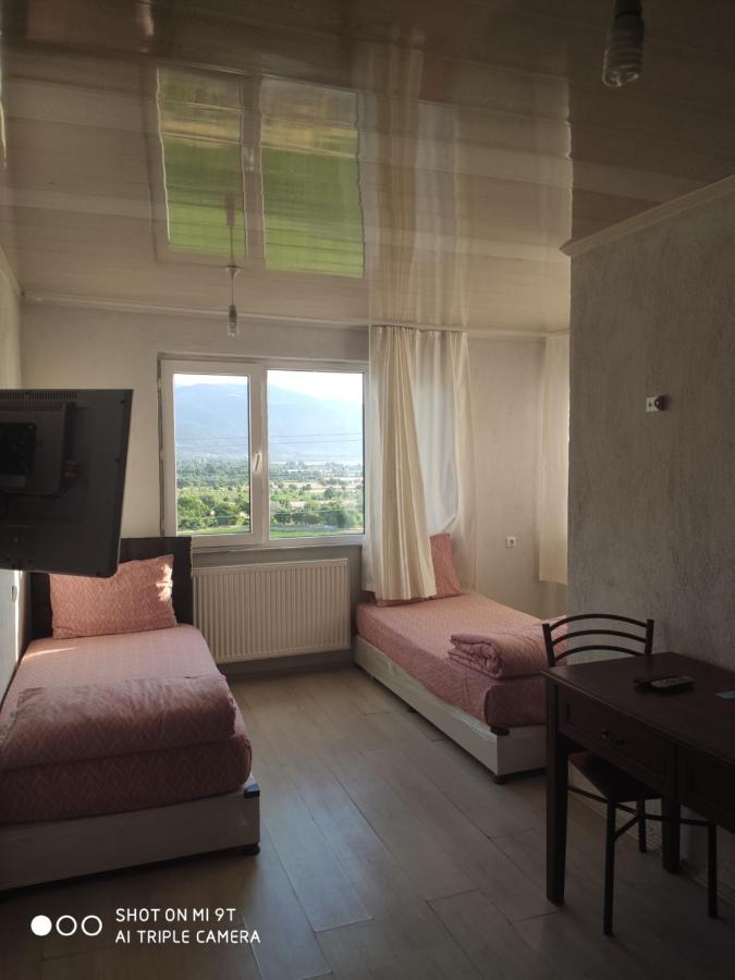 Double or Twin Room with View