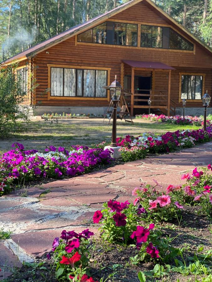 Forest and Lake - B&B Borovoye