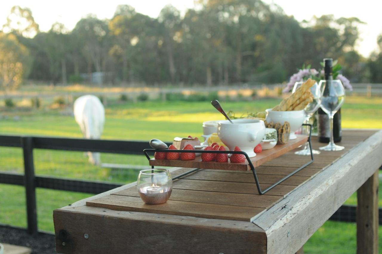 Wagtail Nest Country Retreat - Longford Vic 3851 - Ferienwohnung Sale