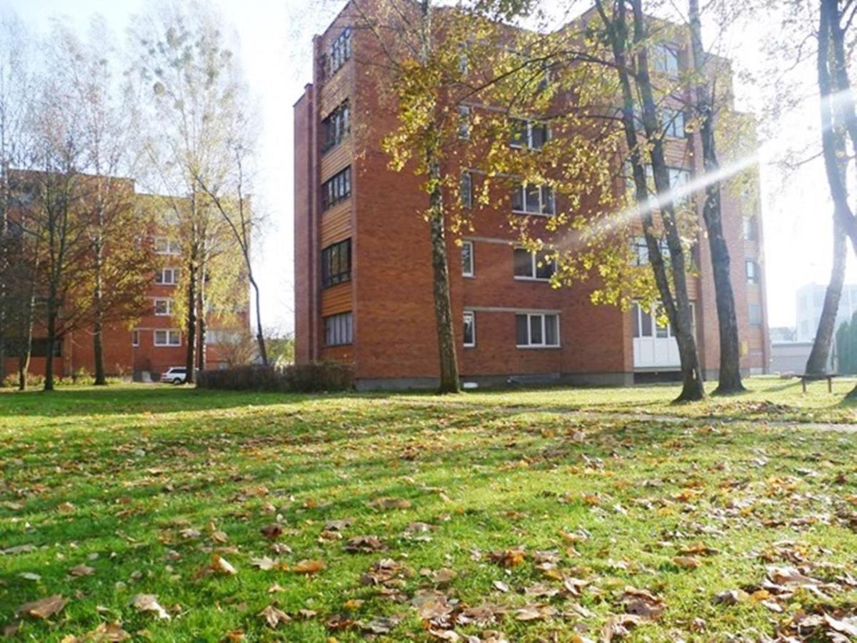 Šaulys1 - B&B