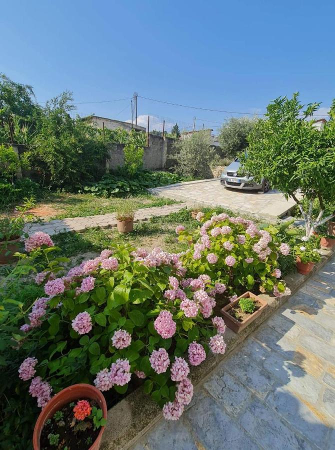 Villa Deart Berat - Ferienwohnung