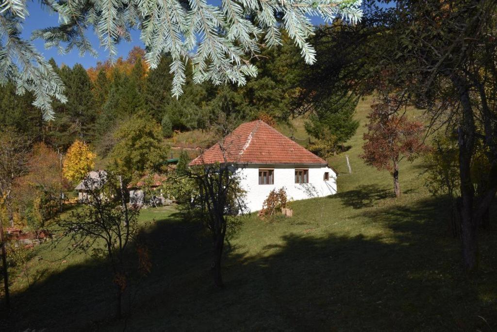 Seosko domacinstvo Imanje Medojevic - Bed and Breakfast Mojkovac