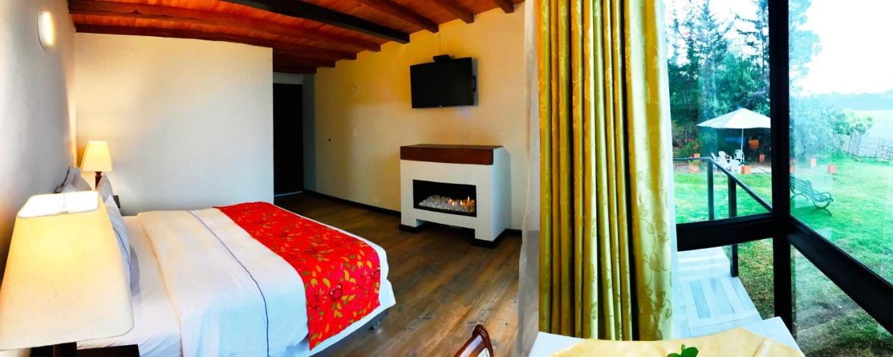 Gîte 1 Chambre
