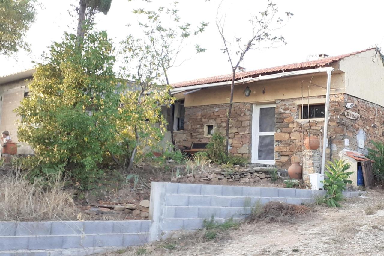 Casa da Abelha- Beehouse - B&B