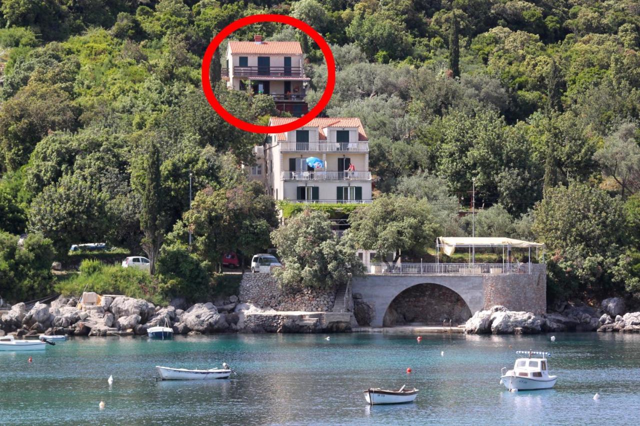 B&B Molunat - Apartments by the sea Molunat, Dubrovnik - 8550 - Bed and Breakfast Molunat