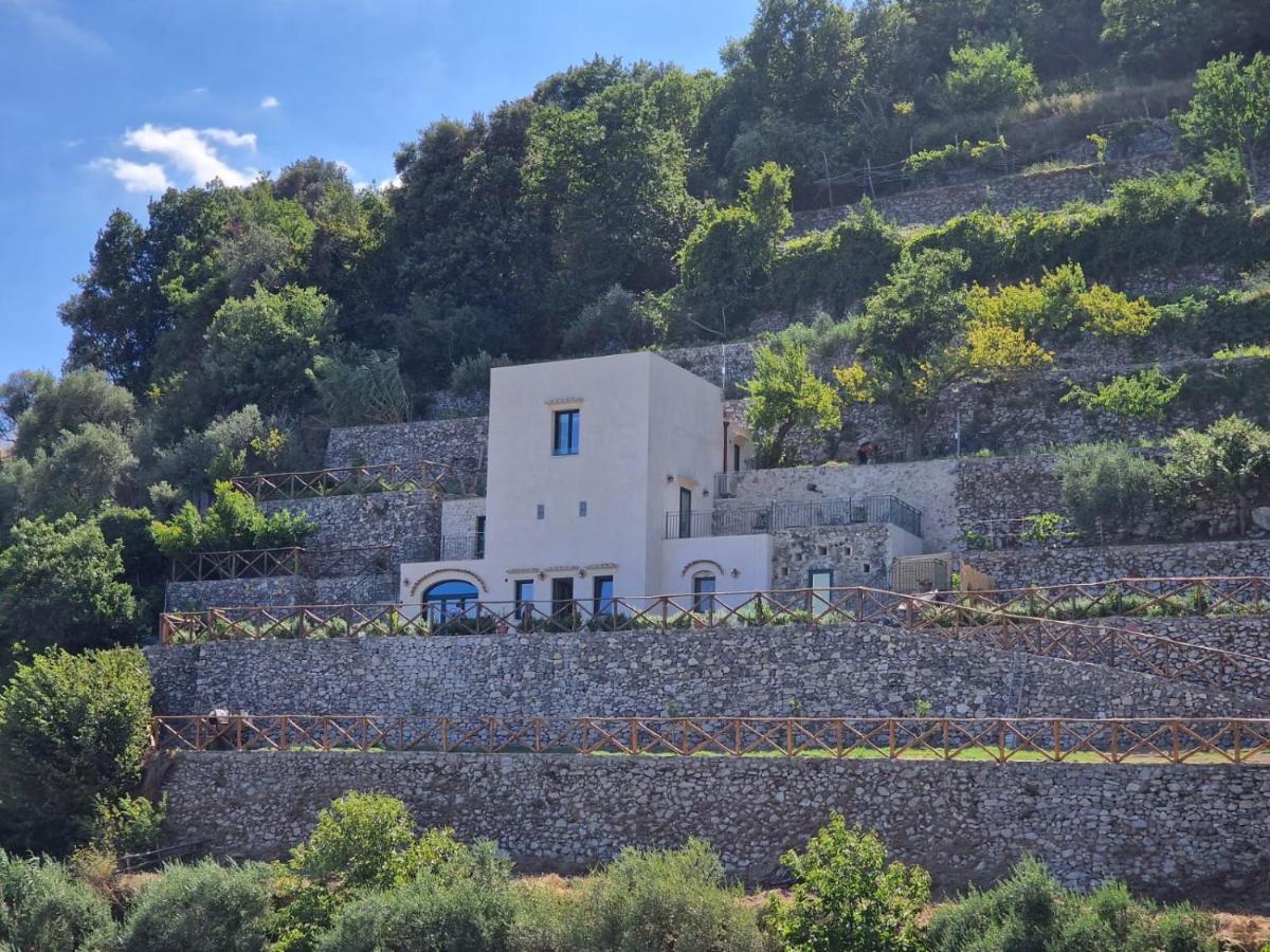 The little tower of Minuta - B&B