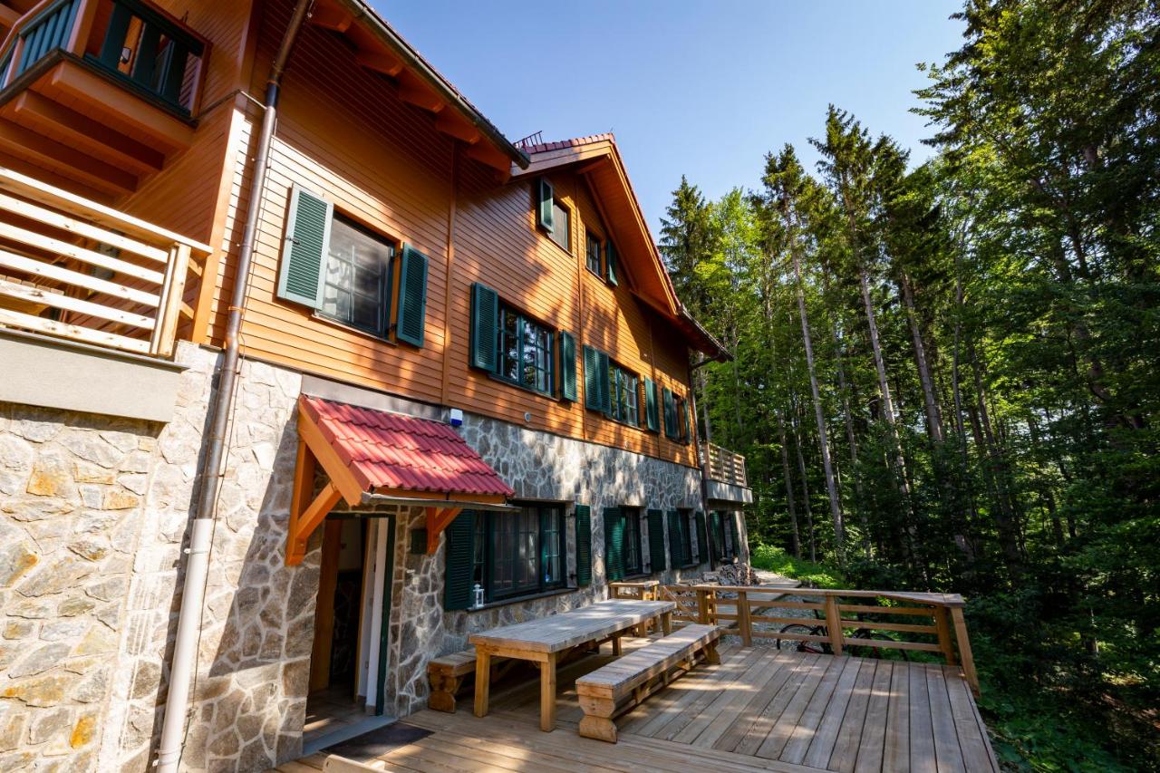 Prijeten sončen apartma v objemu Pohorja - B&B