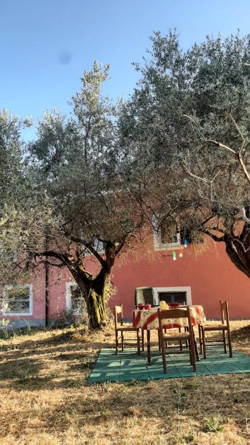 Cascina delle Rose - B&B Sarzana