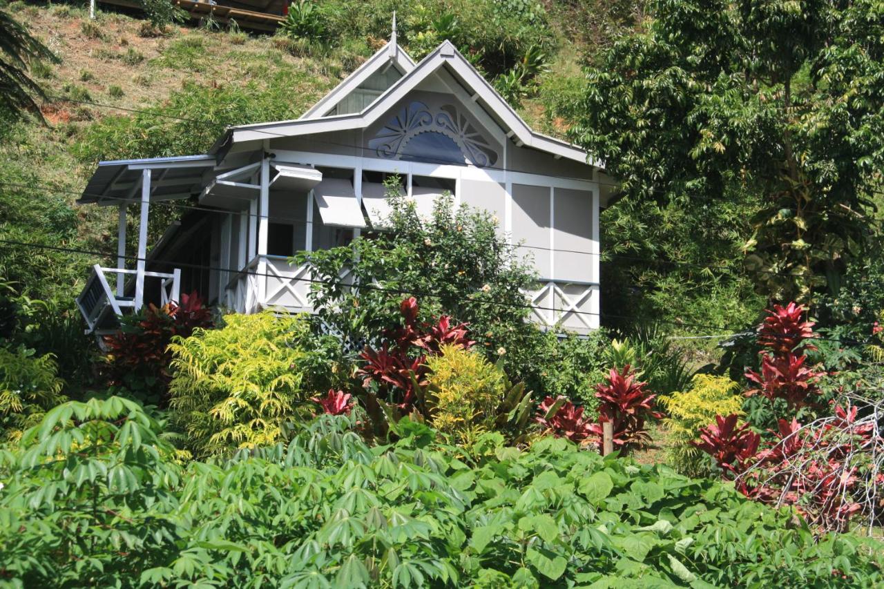 Gingerbread Cottage and Studio Fiji - B&B